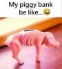 IMG_3437.jpeg