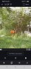 Screenshot_20250723_132744.jpg