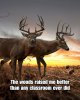 FB_IMG_1753309059262.jpeg
