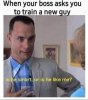 IMG_3479.jpeg
