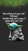 IMG_3490.jpeg