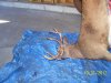 100_0651.jpg