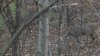 S1480015.jpg
