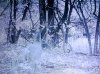 0922121947a.jpg