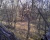 121031_0005.jpg