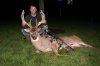 deer mount pics 075.jpg