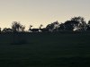 IMG_3213.jpeg