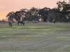IMG_3232.jpeg