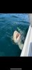 upload_2025-8-4_19-31-18.jpeg