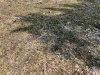 IMG_3719.jpeg