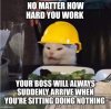 IMG_3676.jpeg