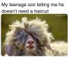 IMG_3727.jpeg