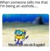 IMG_3755.jpeg