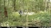image_processing20250718-8460-9iu1w1.jpg