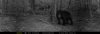 IMG_2063.jpeg