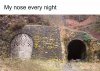 IMG_3984.jpeg