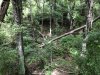 IMG_6168.JPEG