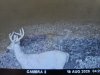 1000005143.jpg