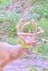 IMG_7294.jpeg