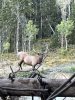 IMG_1535.jpeg