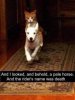 IMG_4130.jpeg