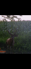 IMG_1253.png