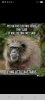 IMG_4174.jpeg