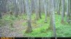 upload_2025-9-3_8-26-0.jpeg