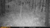 upload_2025-9-3_8-30-59.jpeg