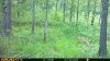 upload_2025-9-3_8-31-22.jpeg