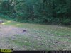 865519049985263-100-4-09022025092602-W1002541.jpeg