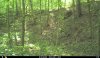IMG_7239.jpeg