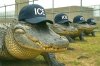 alligators-alcatraz-ice-criminal-immigrants-aliens-illegal-dhs-hats-caps.jpg