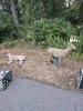 20250906_191858.jpg
