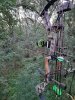 20250907_065855.jpg