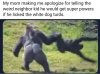 IMG_4292.jpeg