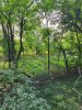 20250907_172412.jpg
