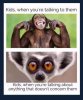 IMG_4324.jpeg