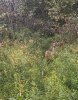 IMG_2227.JPG
