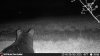 IMG_3333.jpeg