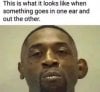 IMG_4329.jpeg