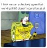 IMG_4332.jpeg