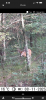 IMG_5362.png