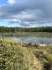 IMG_5516.jpeg
