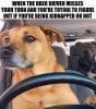 IMG_4358.jpeg