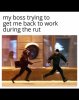 IMG_4396.jpeg