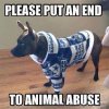 IMG_4445.jpeg