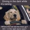 IMG_4481.jpeg