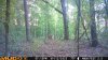 IMG_7978.jpeg