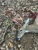 Image1757769091.802354.jpg